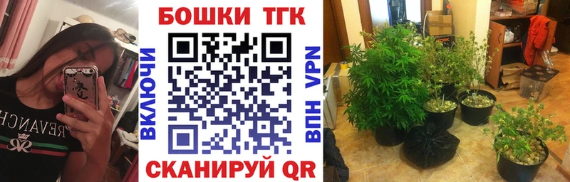 Конопля MAZAR  закладка  Мезень 